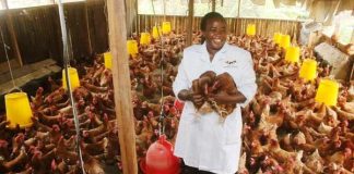 CRS, GIZ Train, Empower Women In Poultry Farming In Borno, Adamawa