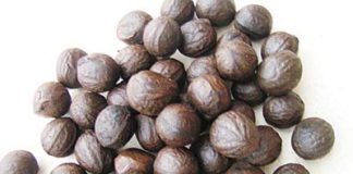 Creating Huge Wealth through Cultivation of Walnuts