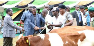 KADALCU Partners Firm to Improve Cattle Health and Milk ProductionÂ