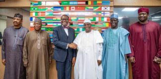 AfDB To Establish Commodity Exchange for Onion in Sokoto