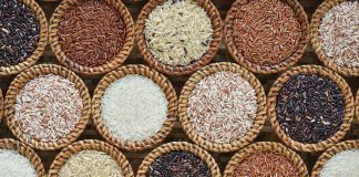 NVRC Releases Additional 49 High-Yielding Crop Varieties