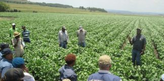 Stakeholders Harp on the Need to Revive Agricultural Extension