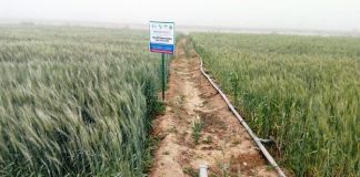 FG Collaborates with AfDB to Execute Agric Projects in Jigawa