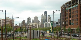 LSADA Tasks Lagosians to Embrace Urban Agriculture