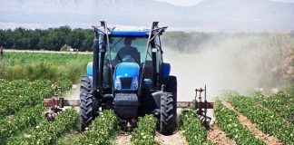 Experts Warn Investors, Farmers Against Foreign Loans