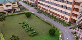 FIIRO Advocates for Youths Employment Through Agric Technologies