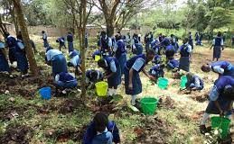 Â CJID, Others Take Tree Planting Movement to Schools
