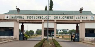 NABDA Calls on Africa Continents to Improve Yield Using Technology