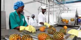 Consular General Calls for More Attention on Agro Processing