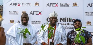 AFEX Launches Planting of 1 Million Cocoa Trees