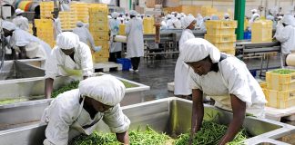 AFAP Calls on Government to Salvage Food Processing Sector