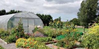 OCP Africa Partners Syngenta Foundation on Green House Technology