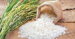 WFP, Others Call for Rice Fortification to Improve Global Nutrition