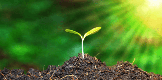 NOAN Laments Low Adoption of Organic Farming