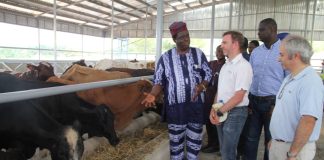 Fan Milk Expands Operation with New Dairy Farm in Ogun