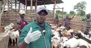 NDE Trains Unemployed Youths in Goat Production