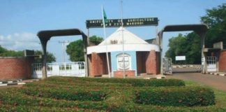 University of Agriculture Partners VSC to Commercialize New Cowpea Variety