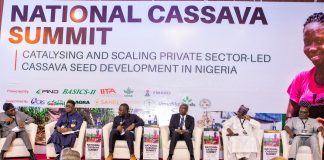 BASICS-II Organizes Business Summit for Cassava Seed Producers
