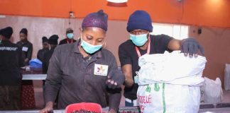 Farmers, Exporters Rejoice as Mexico Lifts Ban on Hibiscus Flowers