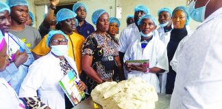 ICSAN Partners FIIRO to Promote Cassava Floor