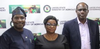 Lagos Signs MOU with SWAgCO to Boost Rice Production