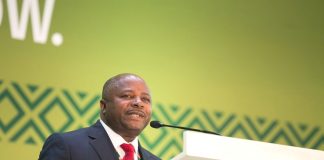 IITA Calls on African Leaders to Prioritize Agriculture for Food Security