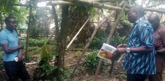 CRIN, PIND Train and Certify Cocoa Seed Nursery Operators