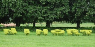 NIHORT Trains Women, Youths on Plantain, and Pumpkin Production