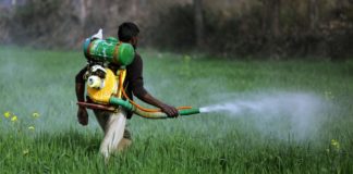Stakeholders Lament High Rate of Pesticides Abuse