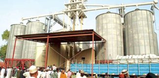 FG Grants Silos To Private Sector To Address Post-Harvest Losses