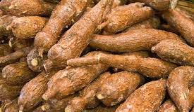 Making Fortune From Cassava Production