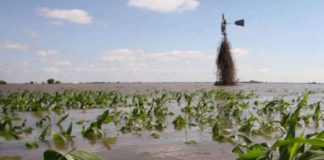 NAERLS Reports Lose of N700bn To 2022 Floods