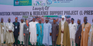 World Bank, FG Launch 6-YearS Livestock Development Project