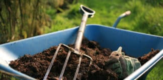 Don Calls on African Leaders to Embrace Organic Farming