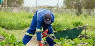 HOMEF Calls for Adoption of Agro-ecology Practice