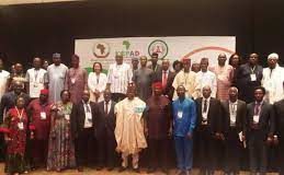 AUDA-NEPAD Partners NABDA on Genome Editing Technology in Africa