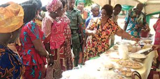 Stakeholders Make Case for Root and Tuber Crops