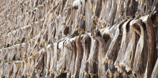 Norway Calls on FG to Lift Forex Ban on Stock Fish