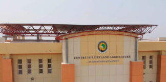 CDA Sets Target to Promote Dryland Farming in Africa