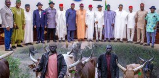 MACBAN Calls for Allocation of Grazing Areas for Herders