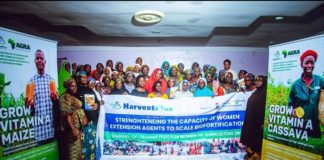 Harvestplus Makes Case for Biofortified Crops to Tackle MalnutritionÂ