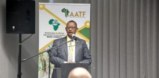 AATF Calls for Conducive Policy to Transform Agriculture in Africa