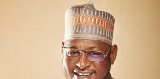 Katsina Seeks AfDB’s Support Over Agriculture, Renewable Energy