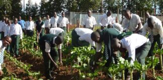 SAHE Collaborates with NAPPS to Launch Young Tech Farmers Club
