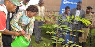 Katsina Partners Mercy Corps to Combat Rising Desertification through Tree Planting